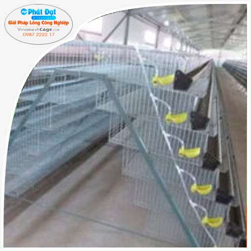 Lồng Nuôi Chim Cút Đẻ Trứng Công Nghiệp