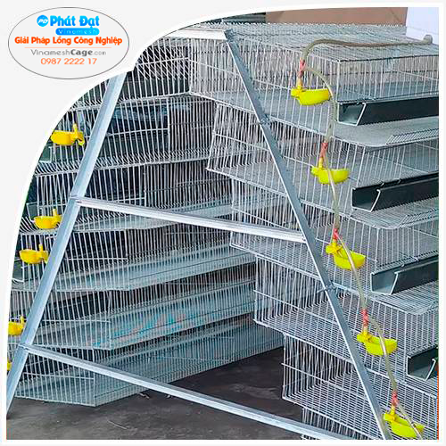 Lồng Nuôi Chim Cút Đẻ Trứng Phổ Thông