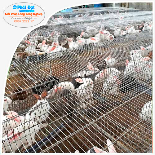 Lồng Nuôi Thỏ Công Nghiệp
